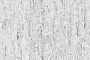 Линолеум Tarkett iq Optima COOL WHITE 0871 фото  | FLOORDEALER